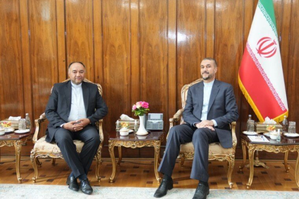 Амир Абдоллахиян подчеркнул важность развития отношений между Ираном и ОАЭ по всем направлениям