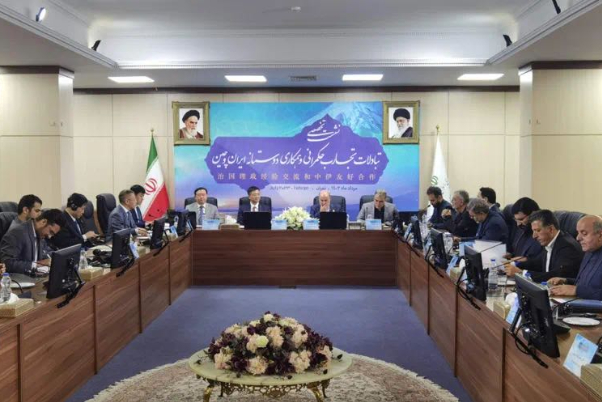 中共代表团访问伊朗