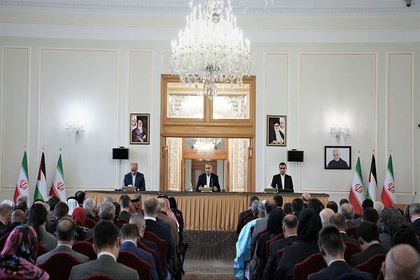 Amir-Abdollahian: Referendum complete solution to Palestinian crisis