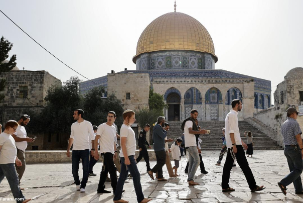 350 מתנחלי כיבוש מסתערים על מסגד אל-אקצא