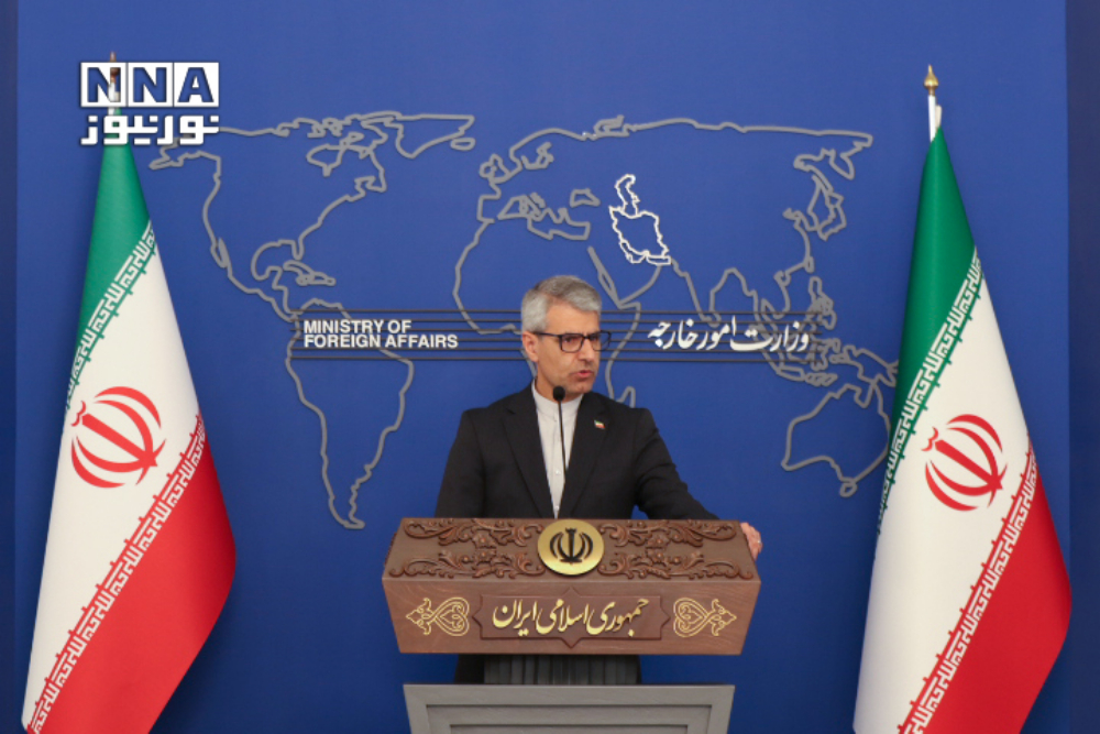 外交部发言人——外国对扎里夫退出政府的看法