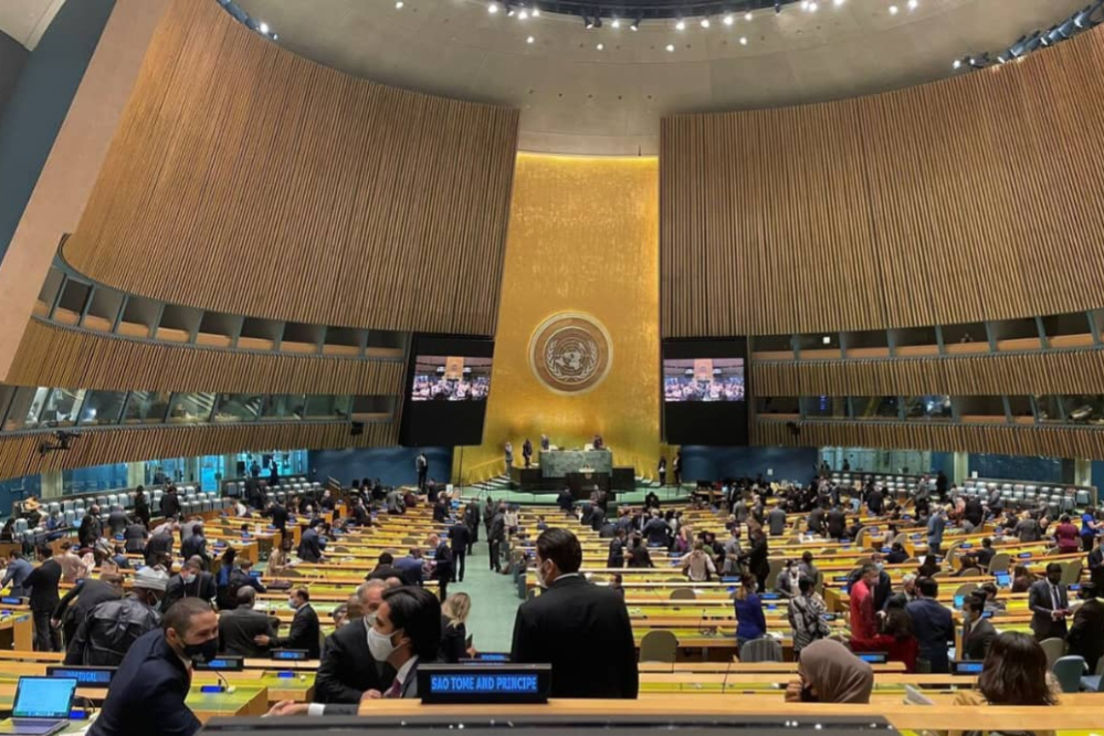 联合国安全理事会新成员任命