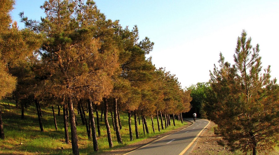 چرا پاییز تحمیلی بر بزرگترین مجموعه فضای سبز در غرب تهران حاکم شده است؟