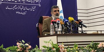 کمالوندی: بازرسان آژانس فردا نمونه غنی شده در فردو را راستی آزمایی می کنند