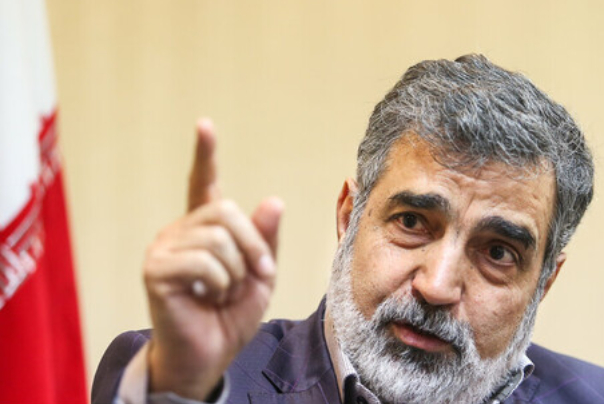 تحریم صالحی، ایران را برای محکم‌تر برداشتن گام‌های هسته‌ای مصمم می‌کند