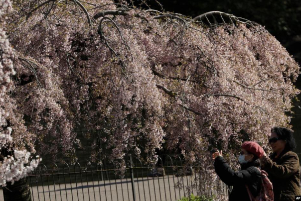 بی توجهی مردم انگلیس به هشدارهای بهداشتی