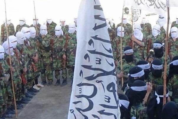 شورای امنیت ملی افغانستان: طالبان با آتش‌بس موافق نیست