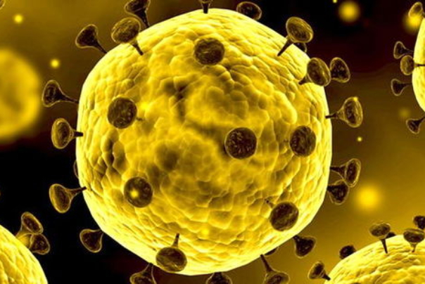 شناسایی 2483 بیمار جدید مبتلا به کووید 19 در کشور/ تا کنون حدود 190 هزار آزمایش کرونا در کشور انجام شده است