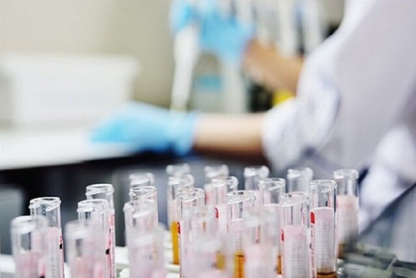 پاسخ مثبت سلول‌های بنیادی به درمان کرونا