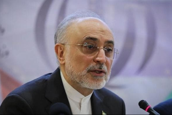 صالحی: به‌زودی غنی‌سازی 20 درصد را آغاز خواهیم کرد