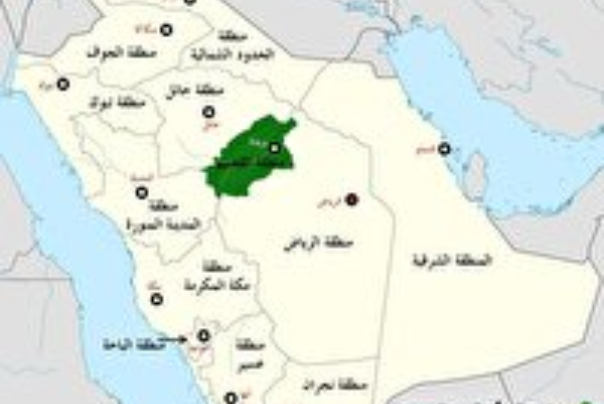 تظاهرات علیه رژیم سعودی در قصیم