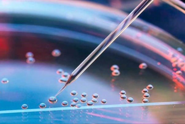 Iranian Knowledge-Based Company Develops New Device for Tumors Diagnosis