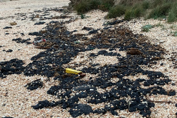 צו איסור פרסום הוטל על חקירת זיהום הזפת בחופי ישראל