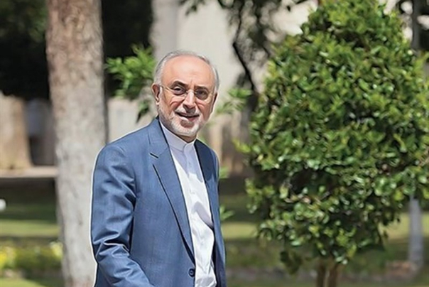 صالحی: در روز ملی فناوری هسته‌ای با حضور رییس‌جمهوری  نمایشگاهی با 133 دستاورد برپا خواهد شد