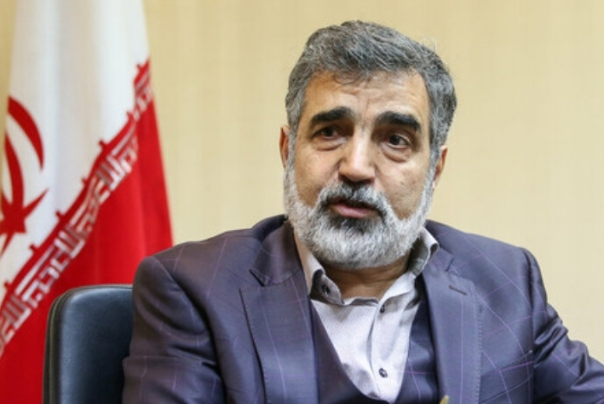 کمالوندی: ما به سرعت در حال  توسعه فناوری و صنعت هسته ای هستیم.