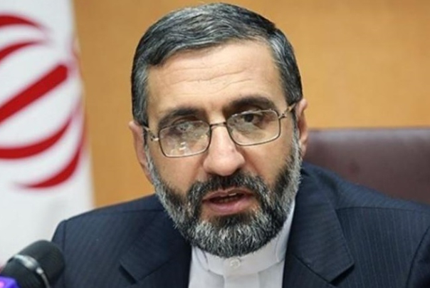 سحنگوی قوه قضاییه: پرونده آزاده نامداری جنایی نیست