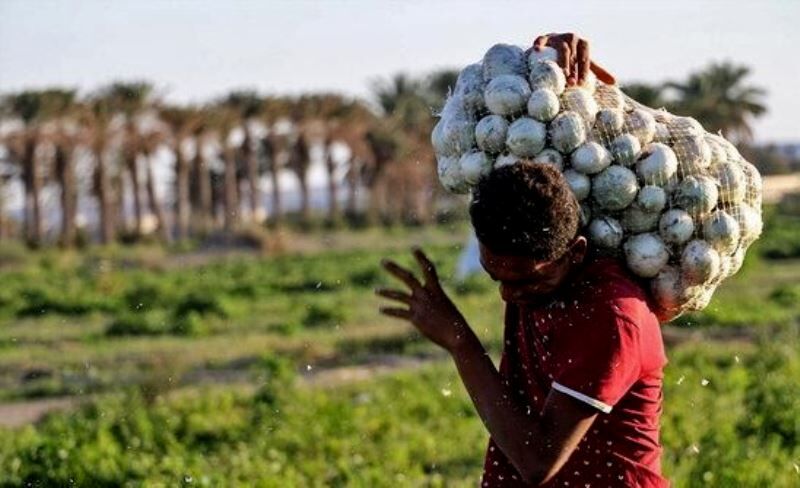 شرایط بازنشستگی بیمه شدگان روستایی در سال 1400