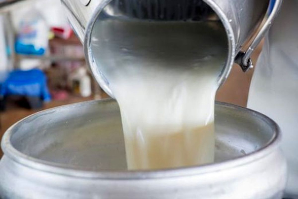 قیمت 6400 تومانی شیرخام کجا و چرا مصوب شد؟