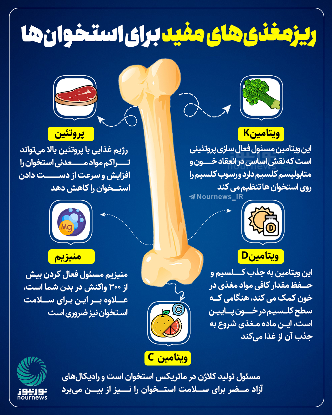 ریزمغذی‌های مفید برای استخوان‌ها