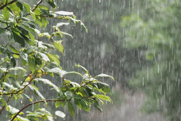 ورود 2 سامانه پربارش به کشور تا پایان هفته