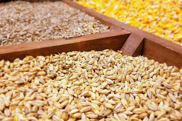 افزایش 60 درصدی تخلیه گندم در بنادر