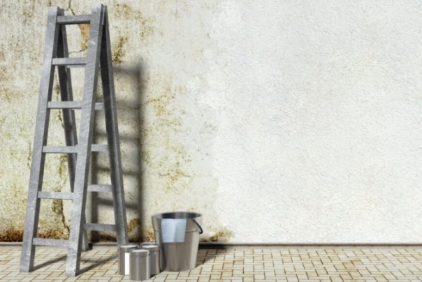 Иранские исследователи придали краскам противоводорослевые свойства с помощью нанотехнологий