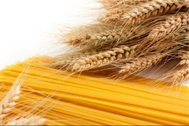 جراحی اقتصادی تنها با همدلی دولت، تولیدکنندگان و مردم میسر خواهد بود