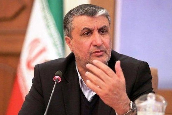 Эслами: Международное агентство по атомной энергии в руках сионистов