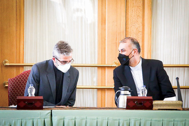 وزیر امورخارجه: باقری با جدیت به مذاکرات ادامه می‌دهد