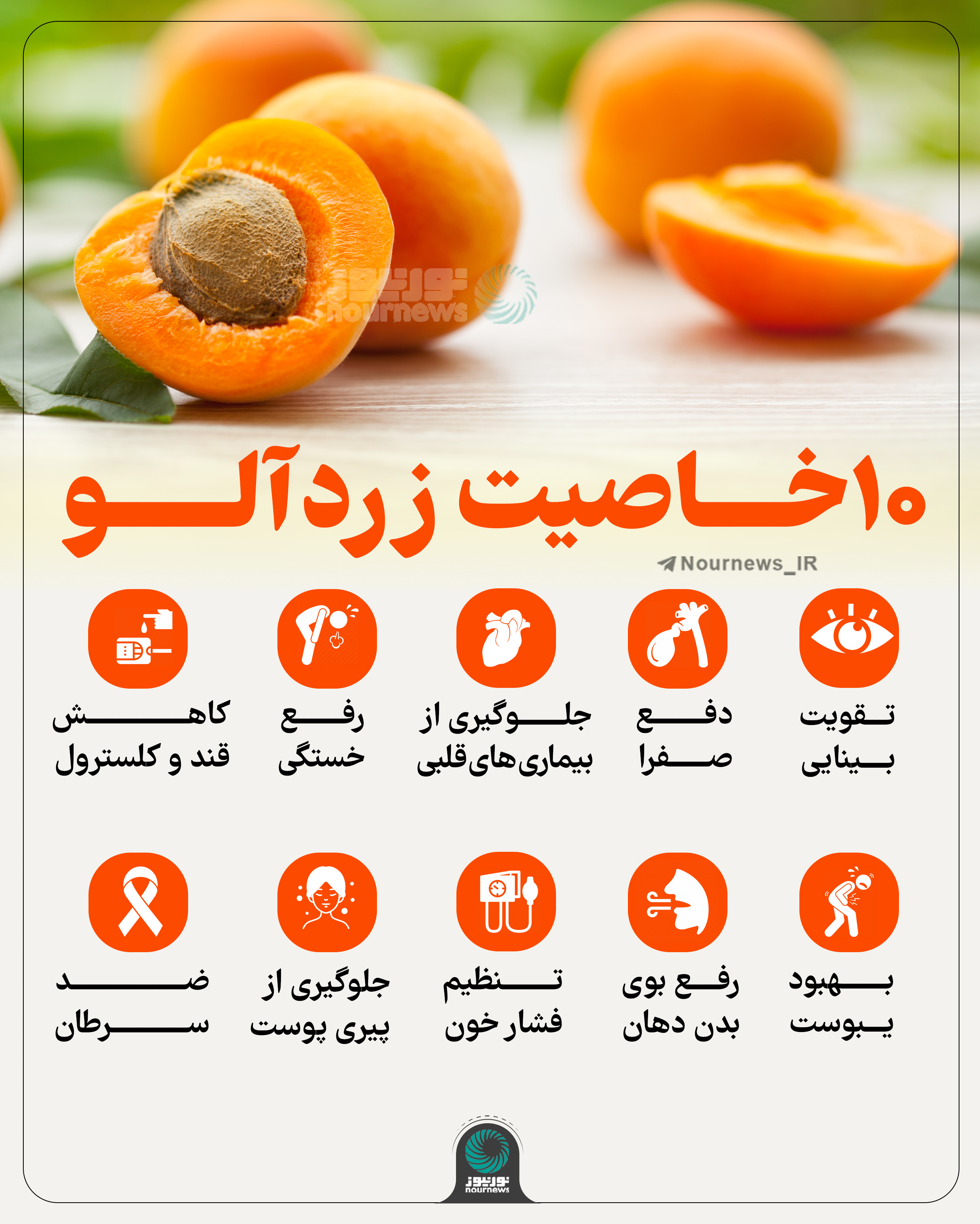 10 خاصیت زردآلو