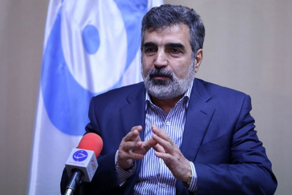 Бехруз Камальванди: газирование центрифуг соответствует выполнению юридических обязанностей ОАЭИ