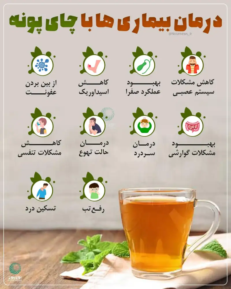 درمان بیماری‌ها با چای پونه
