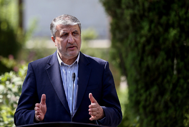 Команда иранских переговорщиков соблюдала все красные линии, заявил глава ОАЭИ