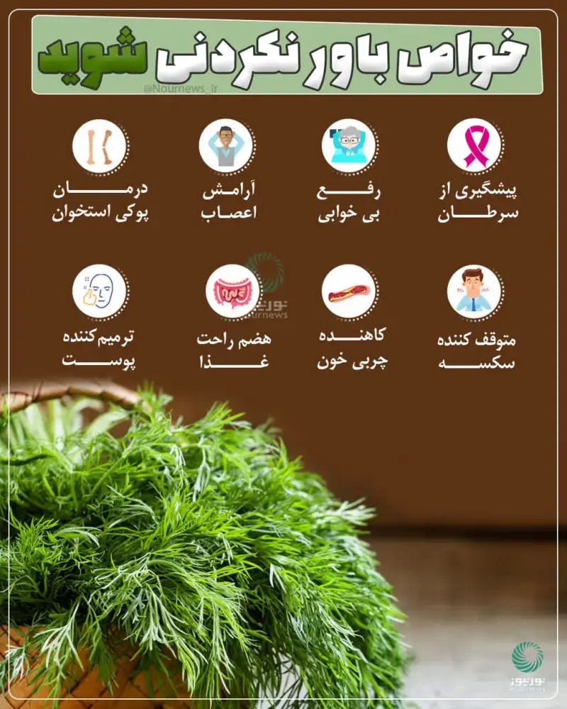 خواص باور نکردنی شوید