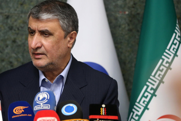 Глава ОАЭИ: в Иране производят радиофармпрепараты мирового уровня