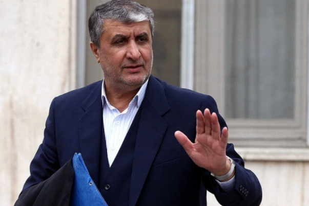 Эслами: Международное агентство по атомной энергии должно вести себя профессионально