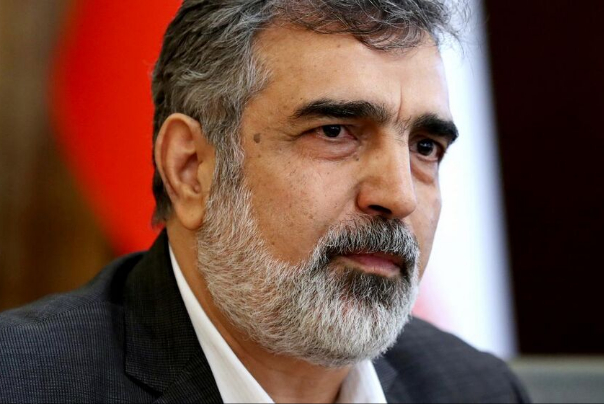 15 докладов МАГАТЭ свидетельствуют о приверженности Ирана своим обязательствам, заявил Камальванди