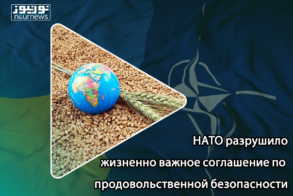 НАТО разрушило жизненно важное соглашение по продовольственной безопасности