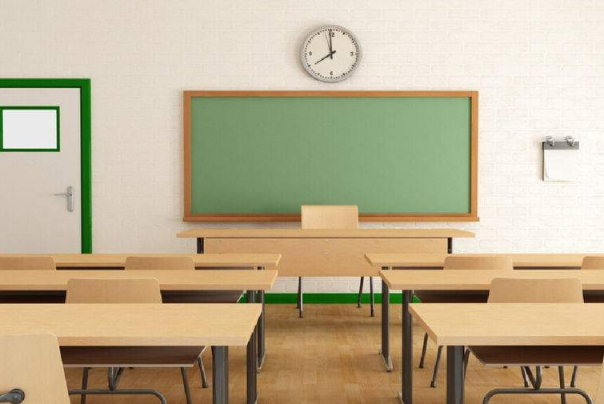 مدرسه ترکیبی یا تنوع مدارس