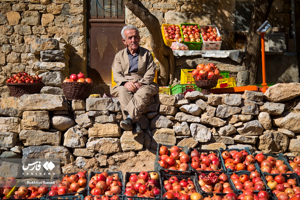 گزارش تصویری | جشنواره «انار هورامان»