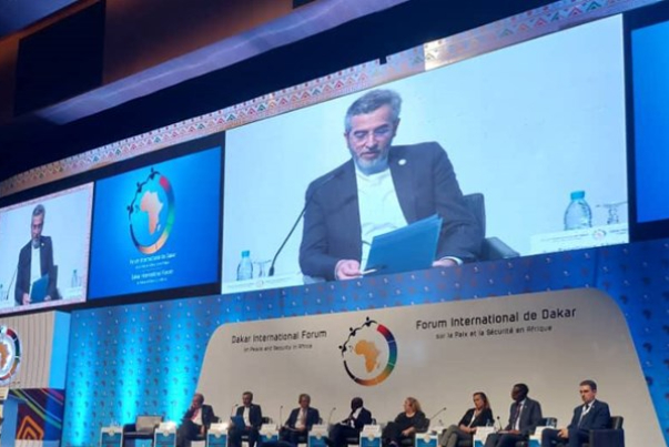 باقری: هرگاه سخن از نسل‌کشی است، پای غربی‌ها در میان است/ آفریقا نیاز به قیم ندارد