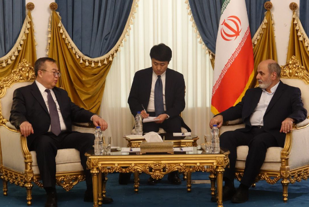 Dr. Ahmadian: The war machine of the Zionist regime must be stopped with an all-out regional and international effort