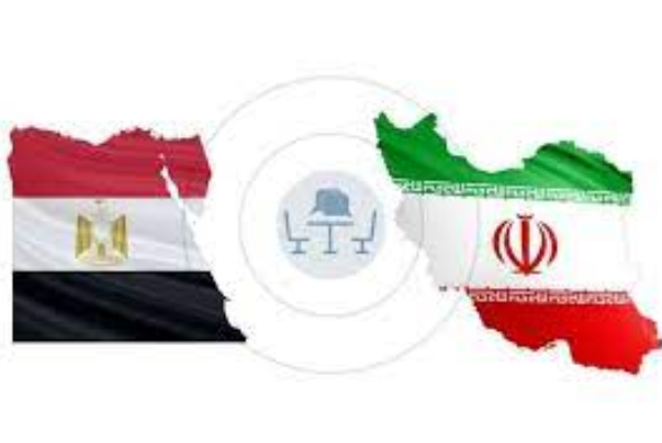 埃及与伊朗两国外长通电话 讨论加沙局势等问题