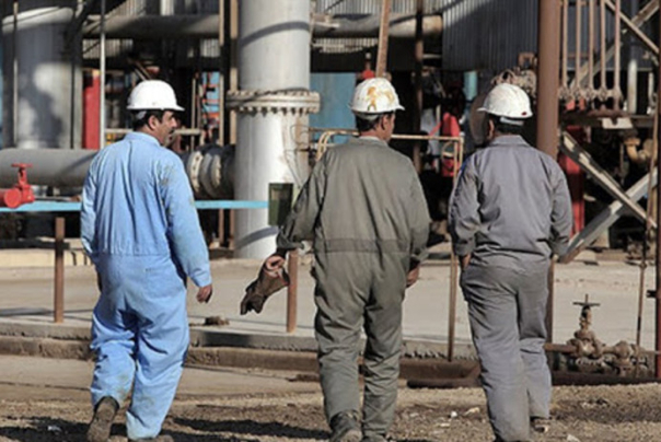 کار هست اما کارگر نیست!