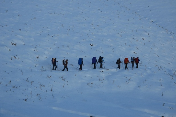 از وضعیت  7 کوهنورد مفقود شده چه خبر؟چند نفر جان خود را از دست دادند؟