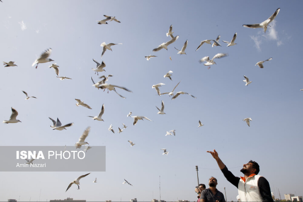 عکس های منتخب ایران، یکشنبه 29 بهمن 1402