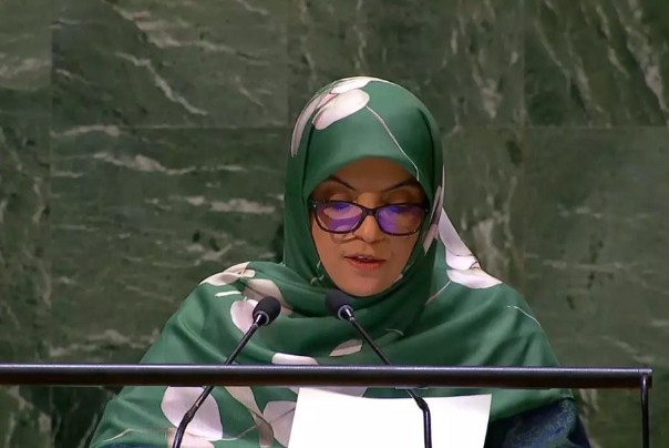 NAM condemns Israeli regime’s continued aggression on Gaza