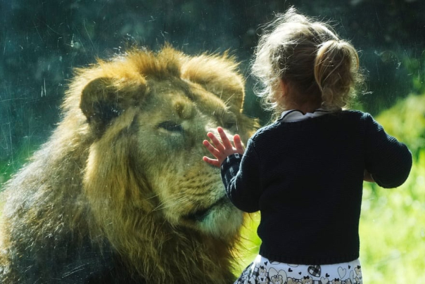 عکس های منتخب جهان، 7 مارس 2024؛ از خلبانی ولادیمیر پوتین تا تیراندازی کیم جونگ اون