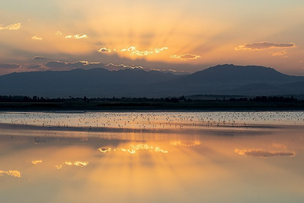 افزایش 10 درصدی وسعت آب 