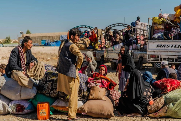 ساماندهی بدون ستیزه گری